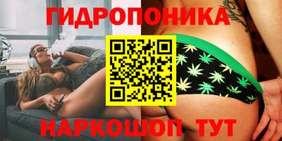 apvp Дубна