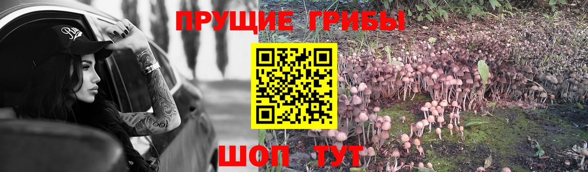Псилоцибиновые грибы мухоморы  Вход с VPN  Медногорск  Псилоцибиновые грибы MAGIC MUSHROOMS 